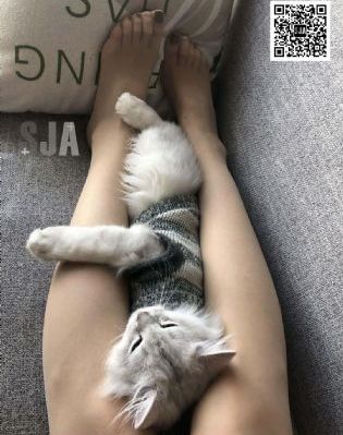 福利姬亚洲午夜无码三区四区_BD国语高清完整版播放