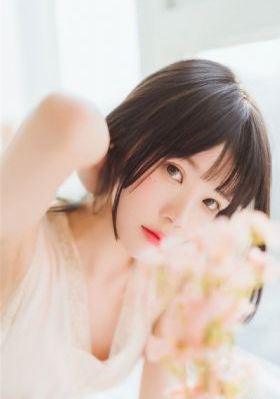 群狼电影国语版免费播放_在线观看完整视频大全